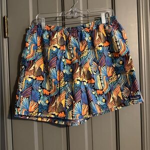 Patagonia Multicolor Elastic Waist Shorts with Black Liner